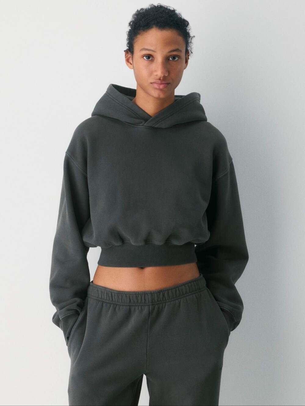 Aritzia Cozy Sweatfleece Perfect Crop Hoodie Vintage Black Size XS